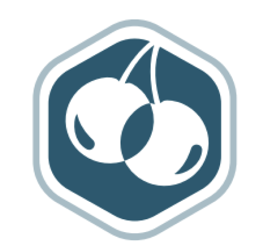 CHERIoT-Ibex Core is Open Sourced to Enable Memory Safe MCUs